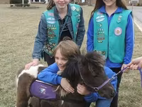 Kůň, Miniature horse — foto 1
