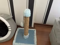 Daşıma çantası, tualet qabı və kürə, ikili yem qabı, dırnaq itiləmə — عکس 4