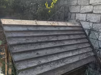 Salamm itlər çün yuvlar kimm istsə yazsınn 3 dənədi 230 mamatdıı ünvan — foto 4