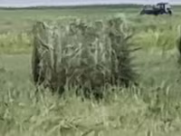Руллон шоп малга — foto 2