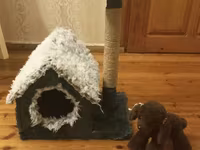 Pişik üçün ev və dırnaq itiləmə komplekti - Rahat qapalı pişik evi — foto 1