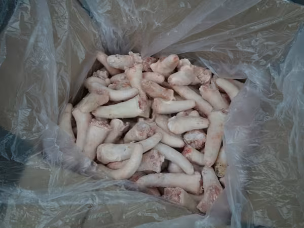 শূকর (দল, লিঙ্গ উল্লেখ নেই), শূকর — রাশিয়া