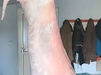 Carne de miel/oaie. — foto 1