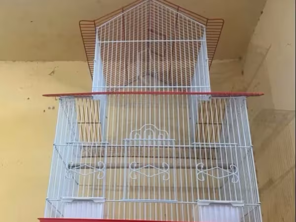 Վանդակի չափը 71x44x34