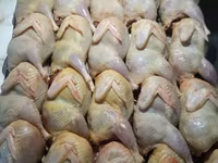 Carne de prepeliță — foto 2