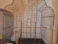 Böyük ölçülü quş qəfəsi - Material: metal karkas, qızılı rəngdə — foto 1