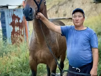 Hing, French Trotter — 5. fotó