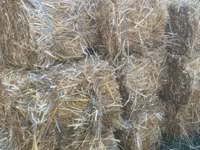 Тюки из овса — ảnh 3