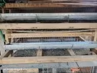 Quails — foto 1