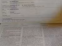 Stute, Pferde — Foto 5
