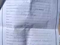 Býk, Aberdinsko-anguská — foto 1