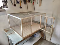 Papuqay,dovşan,hamster,şinşila,bildirçin,cücə,xamyak,pişik,quş,tısbağa — foto 4