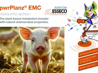 pwr planz emc - растительный экстракт — foto 2