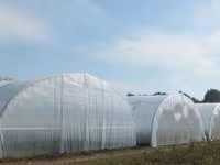 Cada pentru vin Italia , Кады для вина из пищевого пластика 430 Lei — ფოტო 5