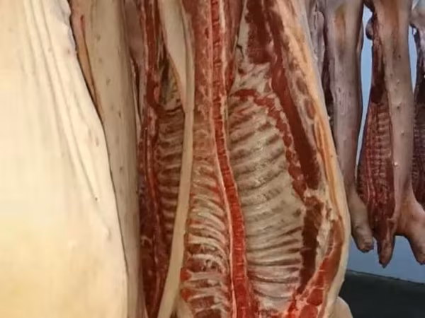 Полутуши свиные 1 и 2 кат охл ГОСТ!