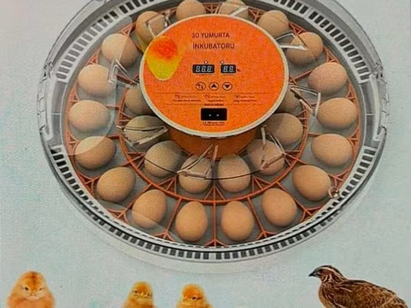 Tam avtomatik inkubator 30 yumurta. Satış evdən məhdut miqdarda. Əlaq'