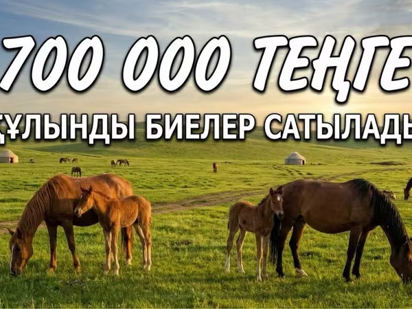 Модиён, Mugalzhar horse