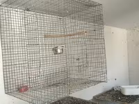 Metalkarkas quş qəfəsləri – iri həcmli model Məhsul təsviri: - — عکس 4