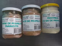 Prepelite: carne, oua, taietei, afumate, marinate, congelate, maioneza, pate, carne inabusita etc.. — photo 4
