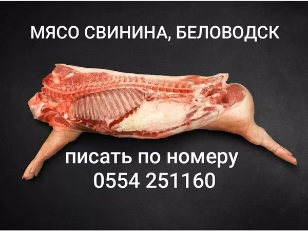 Свинина, Беловодск. Тушки от 40 до 60 кг, передок 330сом., задок