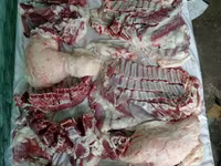 Beran, Rhon sheep — foto 2