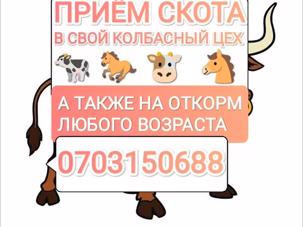 Говеда