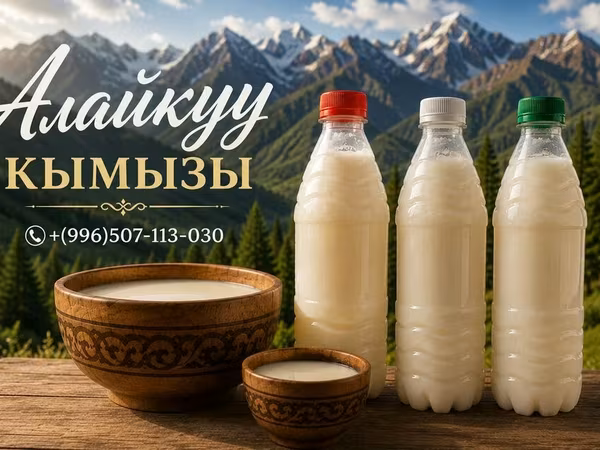 Кымыз, саамал, Оптом, Бесплатная доставка, Платная доставка