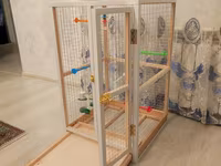 Papuqay,dovşan,hamster,şinşila,bildirçin,cücə,xamyak,pişik,quş,tısbağa — عکس 1