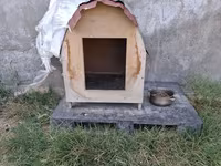 Taxta it evi - Material: kontrplak/taxta gövdə, üstü dalğalı metal — fotografija 1