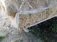 Խառը խոտ լավ որակի — фото 2