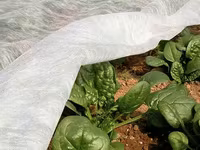 Акция! Белое Агроволокно + UV / Agrostofe + UV 20 gsm / 40 gsm / 50 gsm — снимка 2