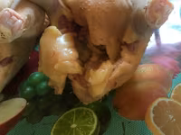 Taiem Cucos de casa la comanda — foto 4