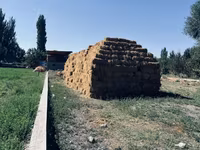 Арпа саман камыш аралаш 1400 тук бар — акс 3