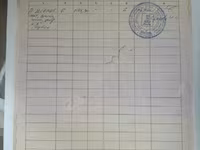 Шерсть мериноса 64К 2С — รูปภาพ 4