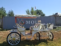 Kůň, Koně — foto 2