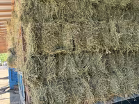 Lucernă — الصورة 1
