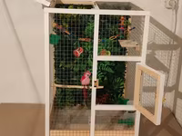 Papuqay,dovşan,hamster,şinşila,bildirçin,cücə,xamyak,pişik,quş,tısbağa — fotografija 3