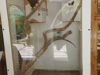 Böyük tutumlu quş qəfəsi – aksesuarlarla - Material: ağ rəngli taxta — fotografija 2