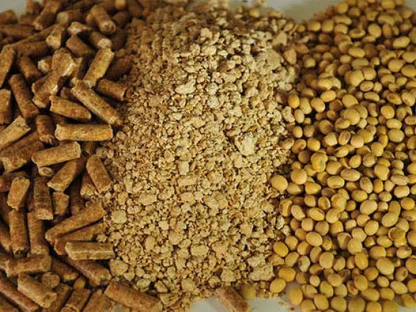 Соевый шрот / srot de soie (protein - 45+)