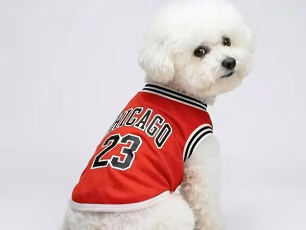 İtlər üçün basketbol forması (Chicago 23) – (5.9 – 9.1 kq) İtlər üçün