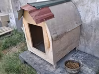 Taxta it evi - Material: kontrplak/taxta gövdə, üstü dalğalı metal — fotografija 2