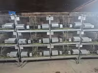 Շինշիլայի վանդակներ — عکس 2