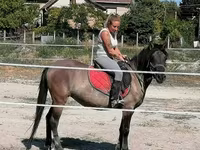 Yegua, Polish pony — foto 4