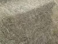 Խոտի տուկեր լավ որակի — عکس 1