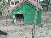 İt yuvası satılır - Material: taxtadan hazırlanmış, möhkəm karkas - — عکس 2