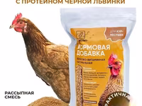 Витамины для кур несушек с Черной львинкой — عکس 2