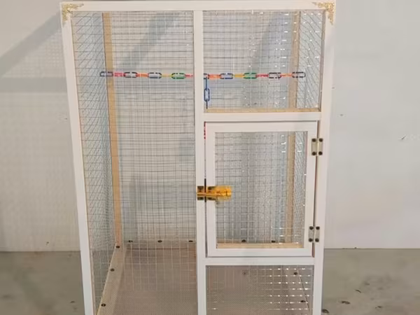 Papuqay,dovşan,hamster,şinşila,bildirçin,cücə,xamyak,pişik,quş,tısbağa
