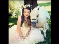 Kobila, Miniature horse — fotografija 1