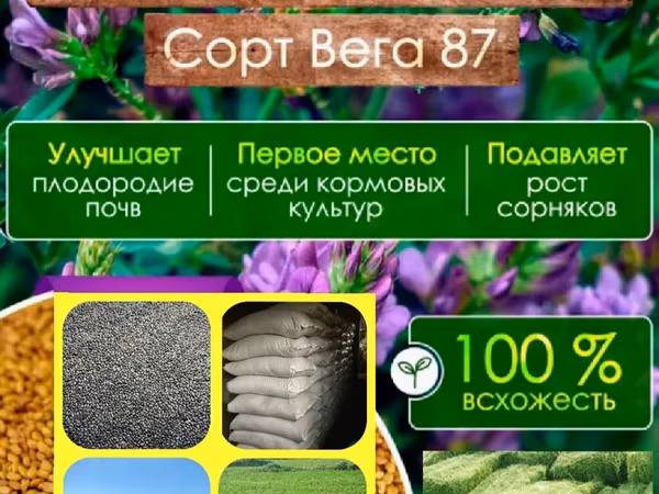 Гарантия качества! Советская технология выращивания и очистки!