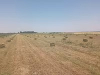 Продаю клевер в тюках второй.третий укос330с.первый укос 350с — foto 4